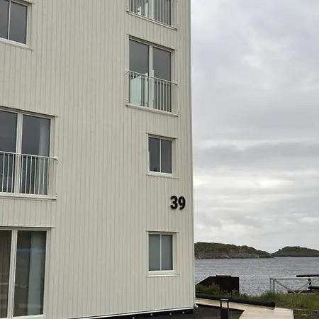 With Seaview In *